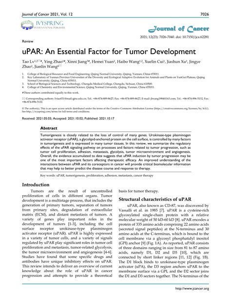uPAR: An Essential Factor for Tumor Development .